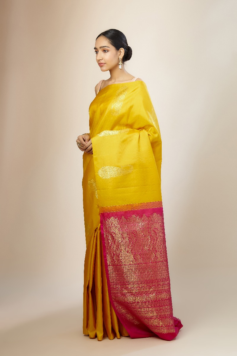Handwoven Kanchipuram Soft Silk Saree | borderless | PV SRI 5447 –  Panjavarnam