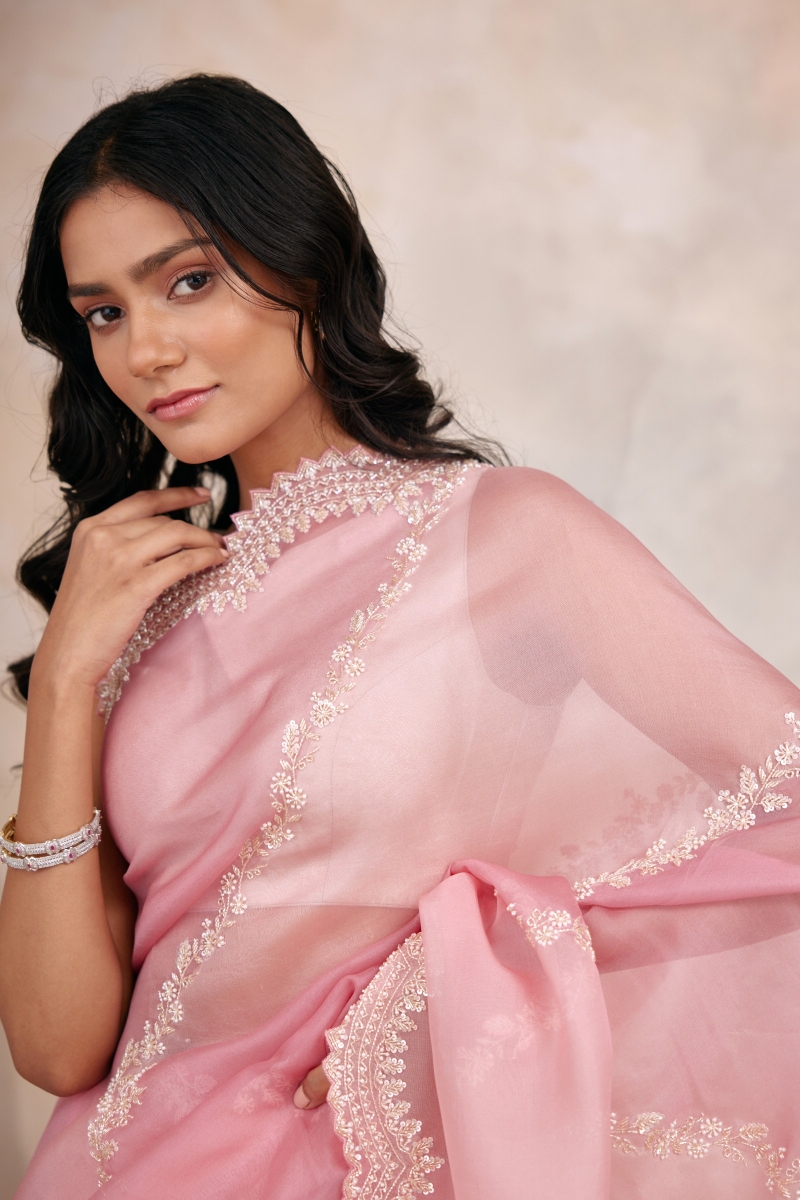 Light Pink Hand-painted Organza Saree - TheSareeStory