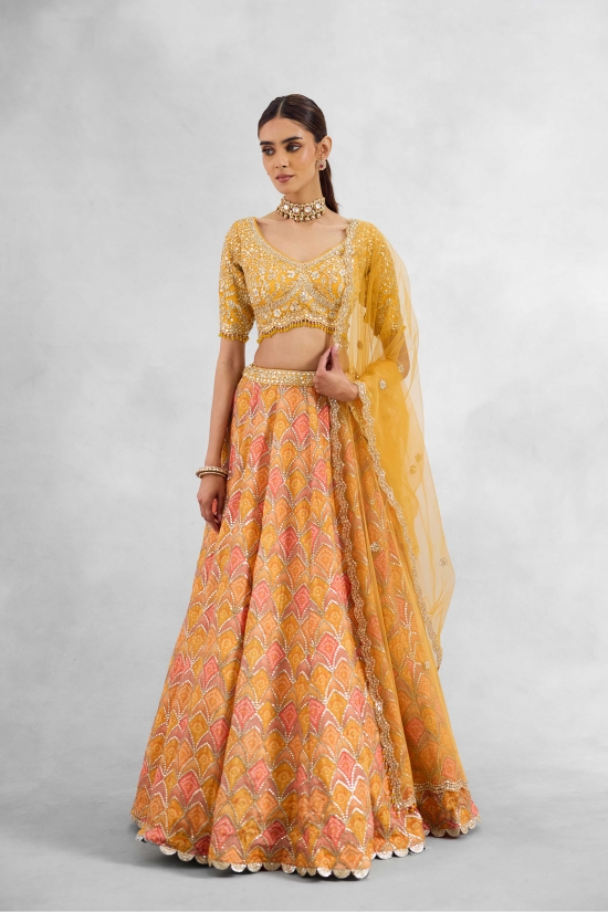 Creamsicle Orange Lehenga Set 