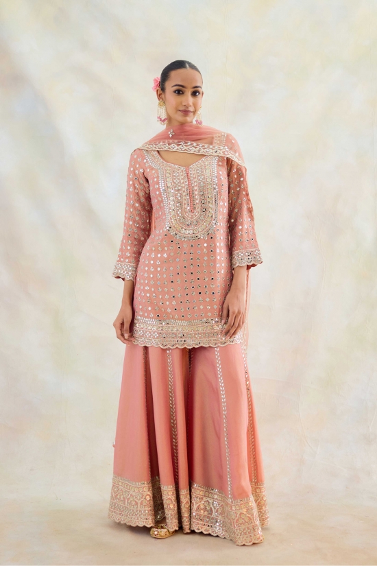 Blush Pink Tissue Sharara Set 