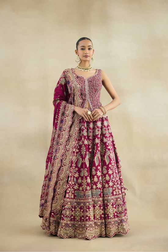 Red Mahogany Lehenga Set 