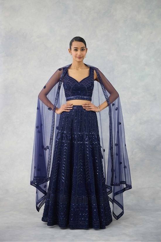 Deep Navy Net Lehenga Set 