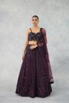 Deep Wine Net Lehenga Set 