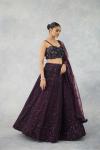 Deep Wine Net Lehenga Set 