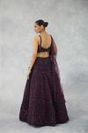 Deep Wine Net Lehenga Set 