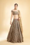 Navy Blue Silk Lehenga