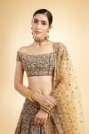 Navy Blue Silk Lehenga