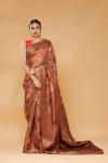 Rust Embroidered Saree