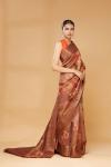 Rust Embroidered Saree