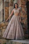 Veiled Rose Lehenga Set