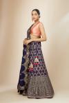 Royal Blue Raw Silk Lehenga Set