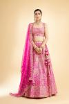 Dusty Pink Monochrome Lehenga