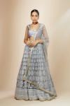 Powder Blue Organza Lehenga Set