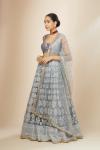 Powder Blue Organza Lehenga Set