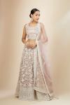 Rust Organza Lehenga Set