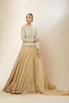 Beige Organza Skirt Set