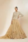 Beige Organza Skirt Set