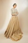 Beige Organza Skirt Set