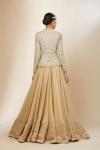 Beige Organza Skirt Set