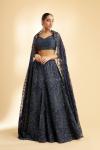 Navy Blue Net Blouse and Organza Lehenga