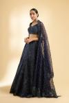 Navy Blue Net Blouse and Organza Lehenga