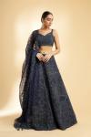 Navy Blue Net Blouse and Organza Lehenga