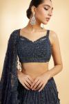 Navy Blue Net Blouse and Organza Lehenga