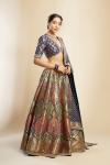 Navy Blue banarasi Silk Lehenga