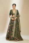 Dark Olive Green Organza Lehenga Set