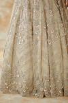 Ivory Daisy Net Lehenga