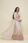 Soft Pink Sharara Suit