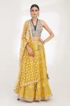 Blue and Yellow Chikankari Lehenga