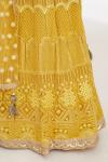 Blue and Yellow Chikankari Lehenga