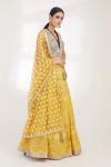 Blue and Yellow Chikankari Lehenga