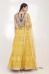 Blue and Yellow Chikankari Lehenga