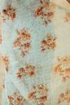 Powder Blue Organza Floral Saree