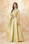 Sand Yellow Green Banarasi Silk Lehenga