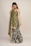 Olive Green Sharara Suit