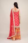 Rose Red Sharara Suit