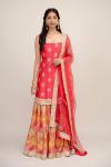 Rose Red Sharara Suit