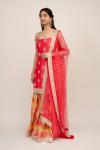 Rose Red Sharara Suit