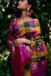 Motley Kanjivaram Silk Saree