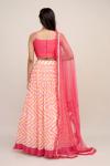 Sweet Gulmohar Lehenga