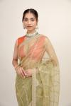 Fern Green Organza Saree