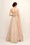 Earthy Pink Shimmer Lehenga