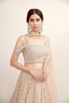 Earthy Pink Shimmer Lehenga