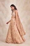 Baby Yellow Organza Lehenga