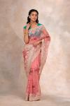 Peach Coral Tissue Organza Saree