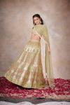 Chartreuse Green Banarasi Silk Lehenga