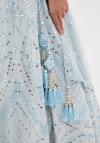 Powder Blue Organza Lehenga